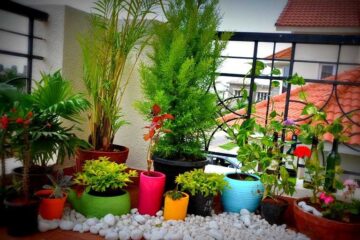 Balcony Landscaping Ideas